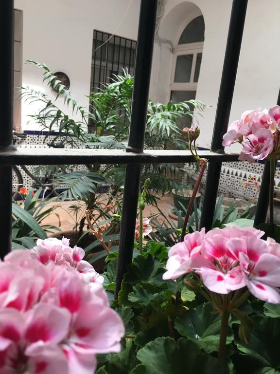 Apartamento Cruz Vieja Jerez de la Frontera Rom bilde