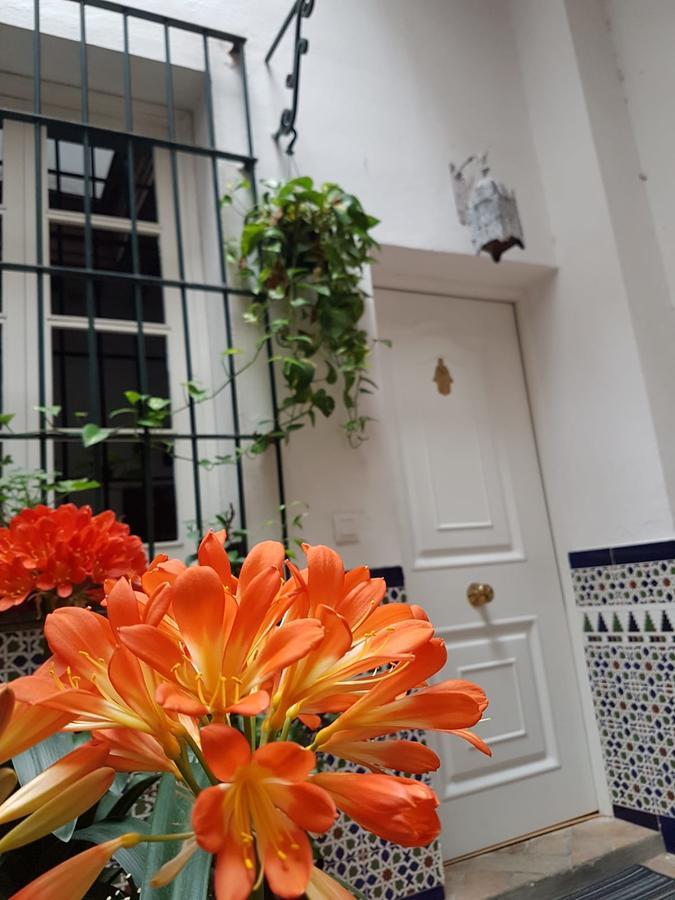 Apartamento Cruz Vieja Jerez de la Frontera Eksteriør bilde